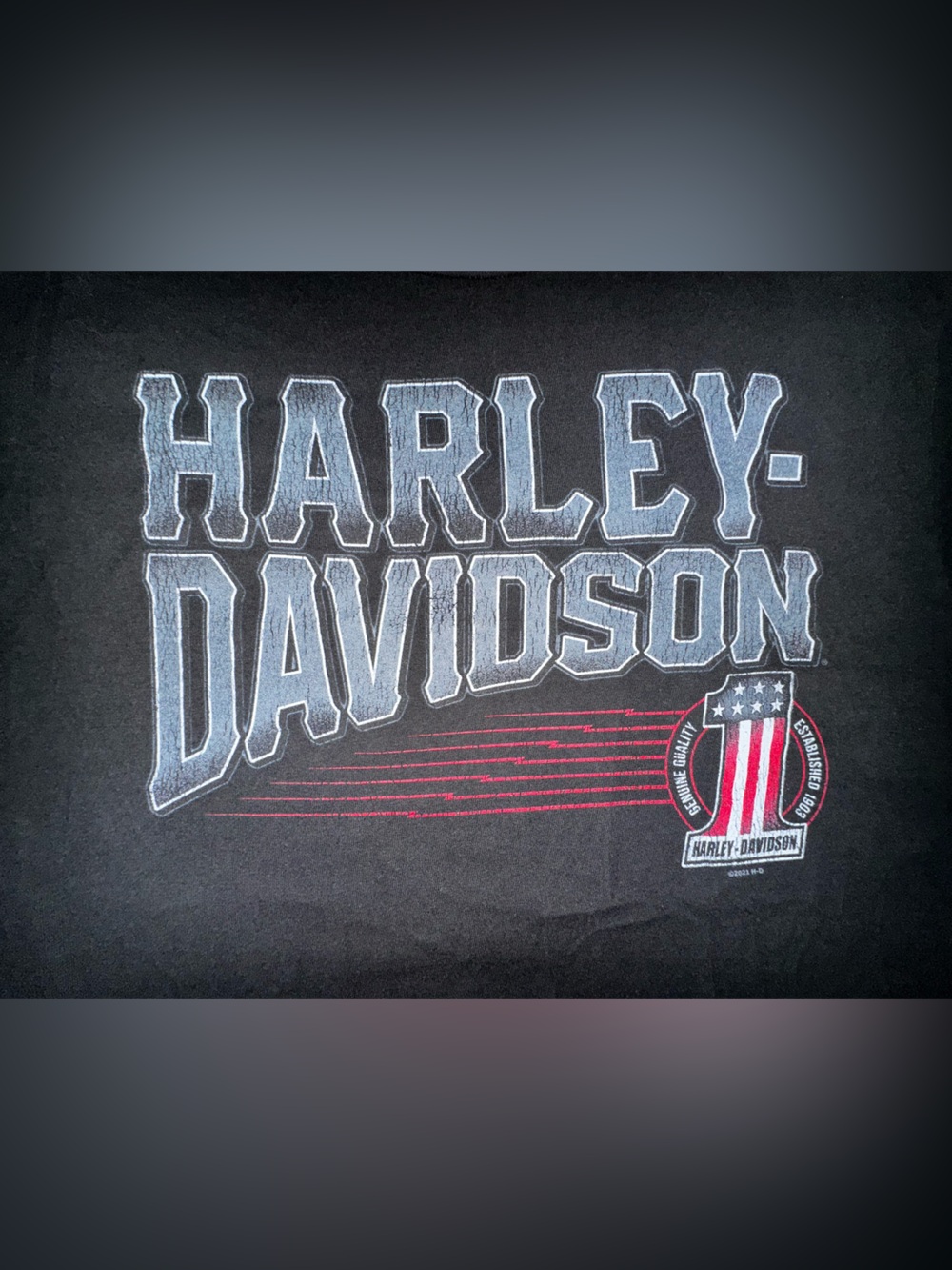 Harley-Davidson Men’s Size Large Short Sleeve Tee